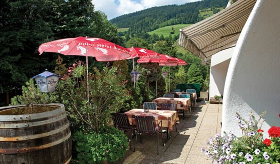 HOTEL WIESENEGG Aurach bei Kitzbühel