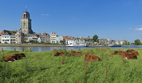 HOTEL 'T HOLT Diepenheim