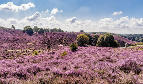 FLETCHER HOTEL-RESTAURANT DE WIPSELBERG-VELUWE Beekbergen