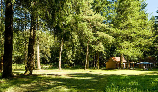 FLETCHER HOTEL-RESTAURANT MOOI VELUWE Putten