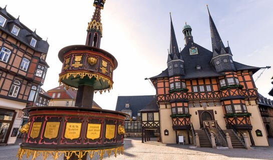 HOTEL MEIN BERGBLICK Goslar