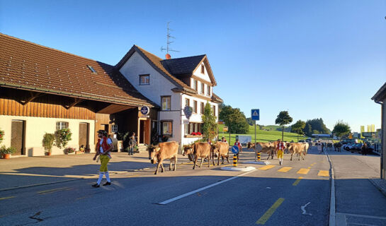 HOTEL GARNI TRAUBE (B&B) Schwellbrunn