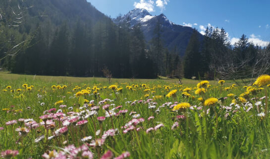 HÔTEL DU GLACIER Champex-Lac