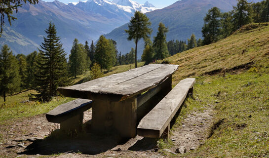 AUBERGE DE L'OURS (B&B) Vex