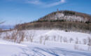 AHORN WALDHOTEL ALTENBERG Altenberg