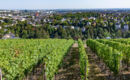 MERCURE HOTEL NEU-ISENBURG (B&B) Neu-Isenburg