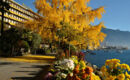 HÔTEL ROYAL PLAZA MONTREUX (B&B) Montreux