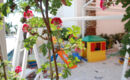 HOTEL CRISTALL San Benedetto del Tronto (AP)