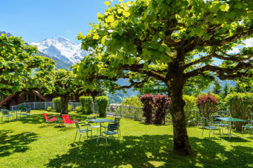 HOTEL ALPENRUHE (B&B) Wengen